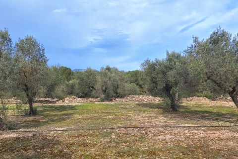 Terreno en Ginestar, Tarragona, Ginestar - € 21.000 | Ref: CC736 - photo 3